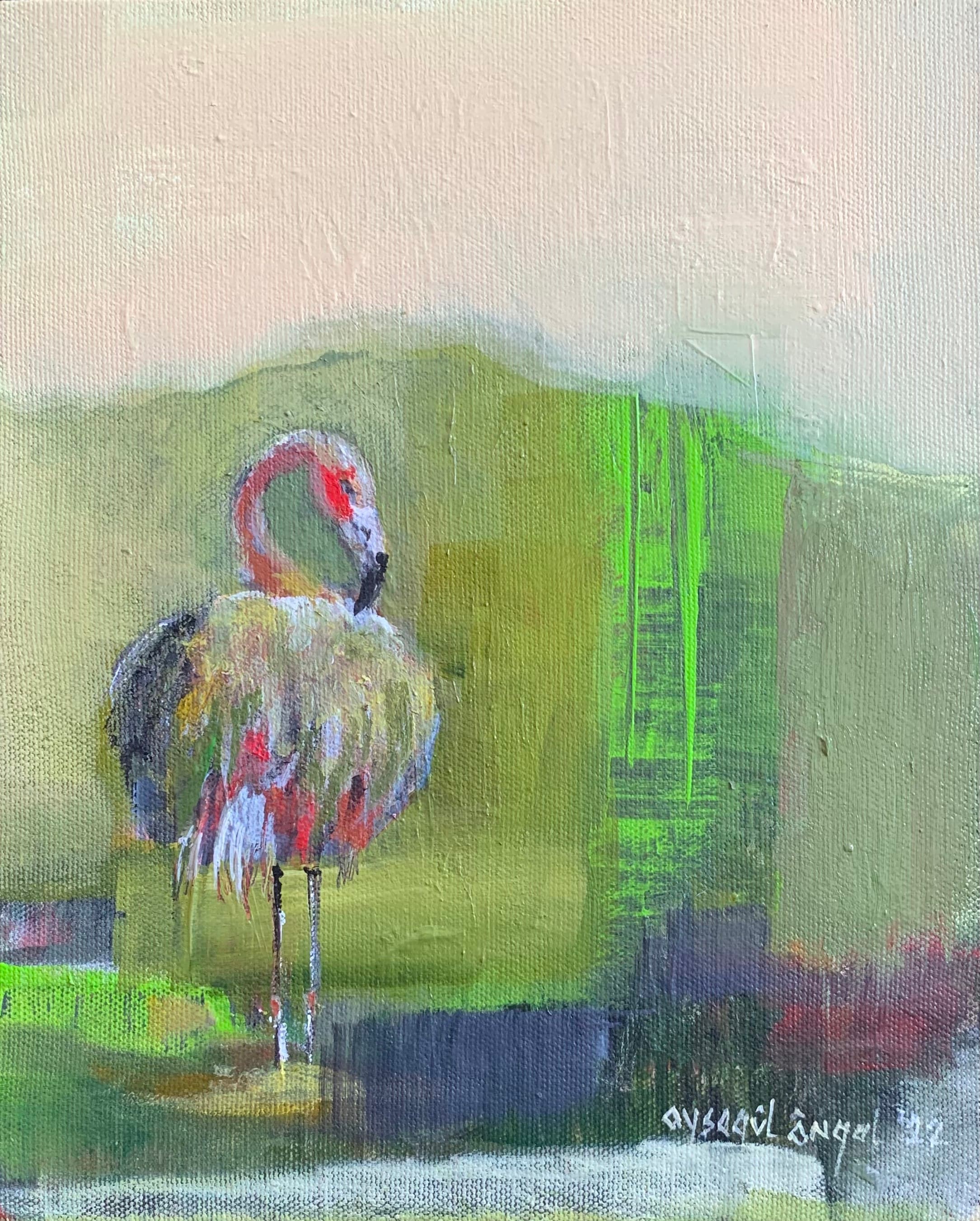 TÜAB 20x25