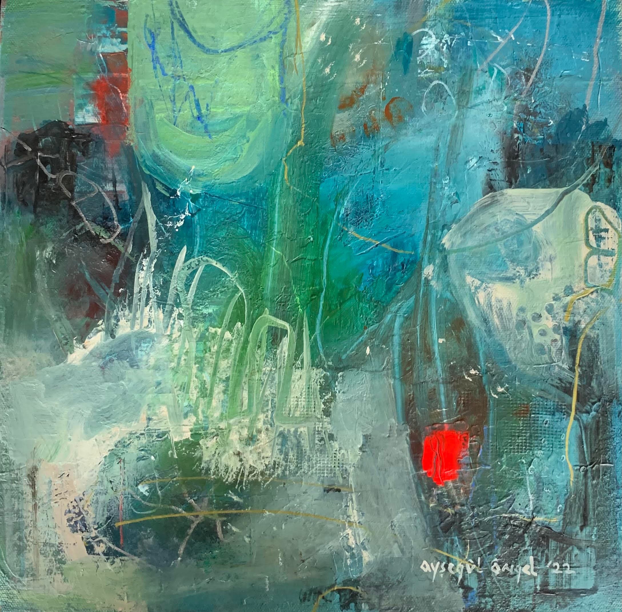TÜAB 30x30